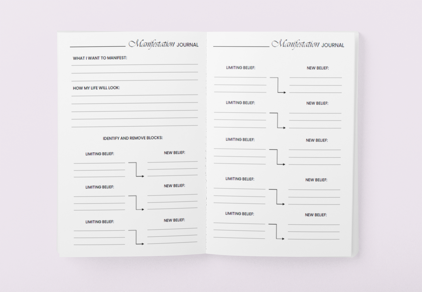 10 Week Manifestation Journal - Paperback
