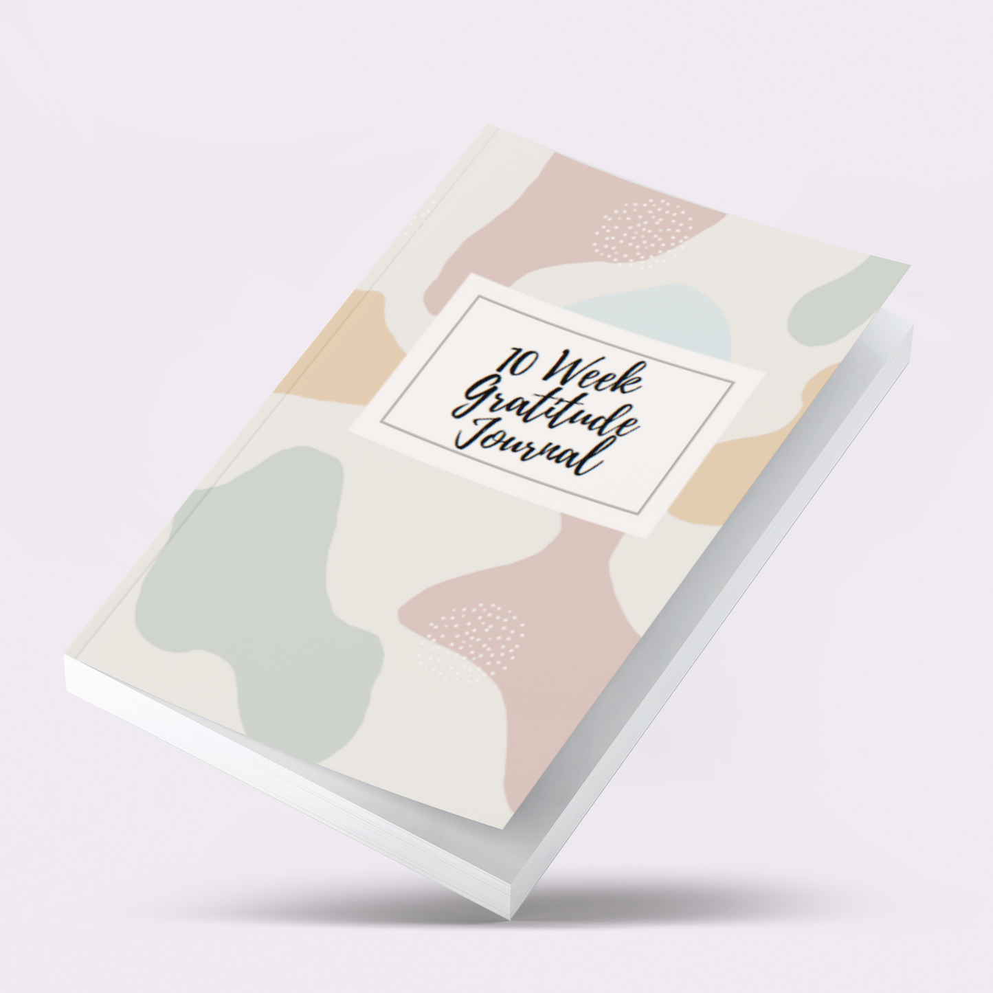 10 Week Gratitude Journal - Paperback