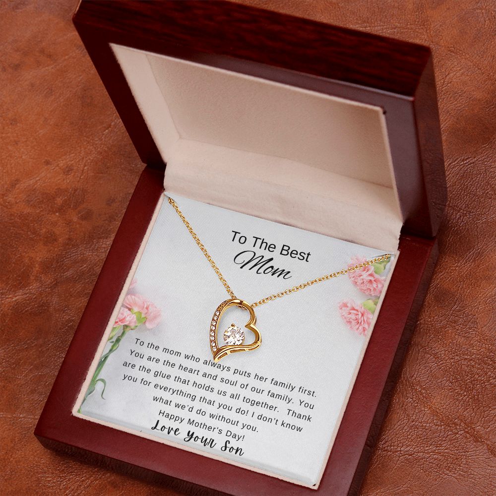Mother's Day Gift From Son