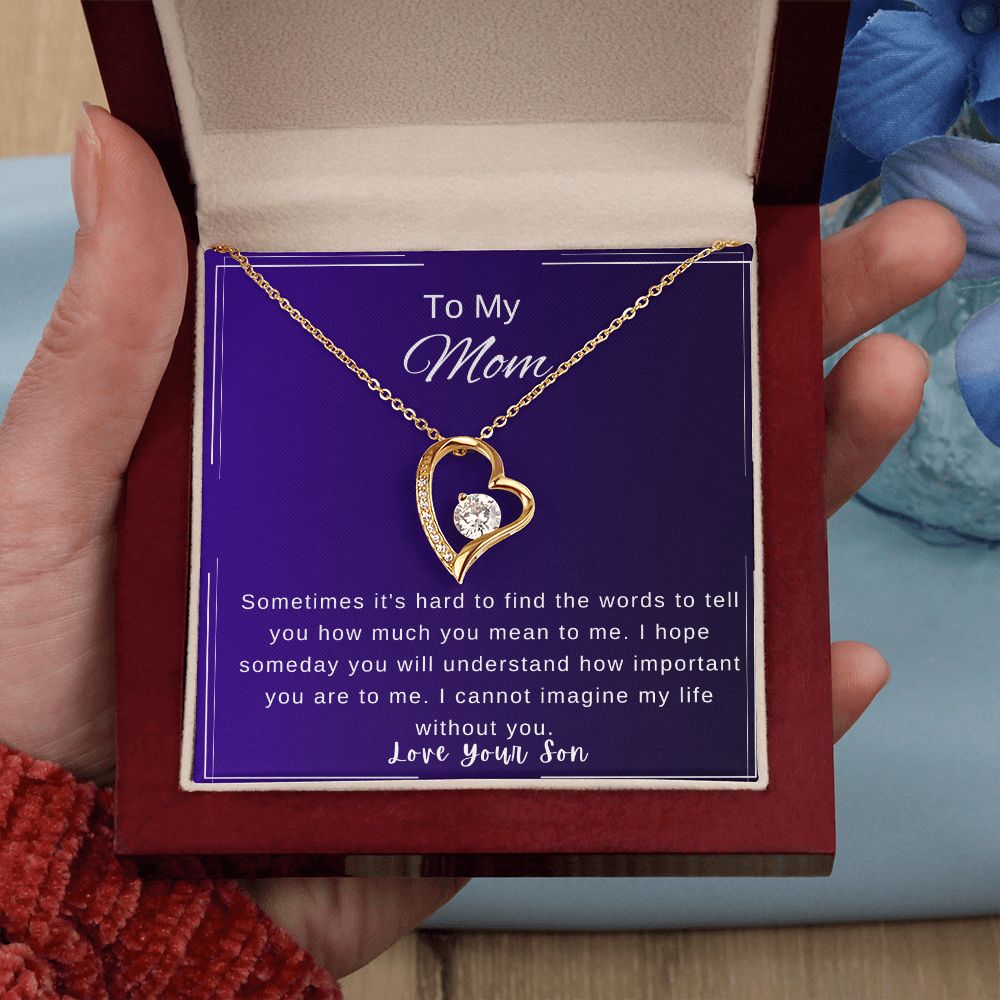 Mother's Day Necklace from Son