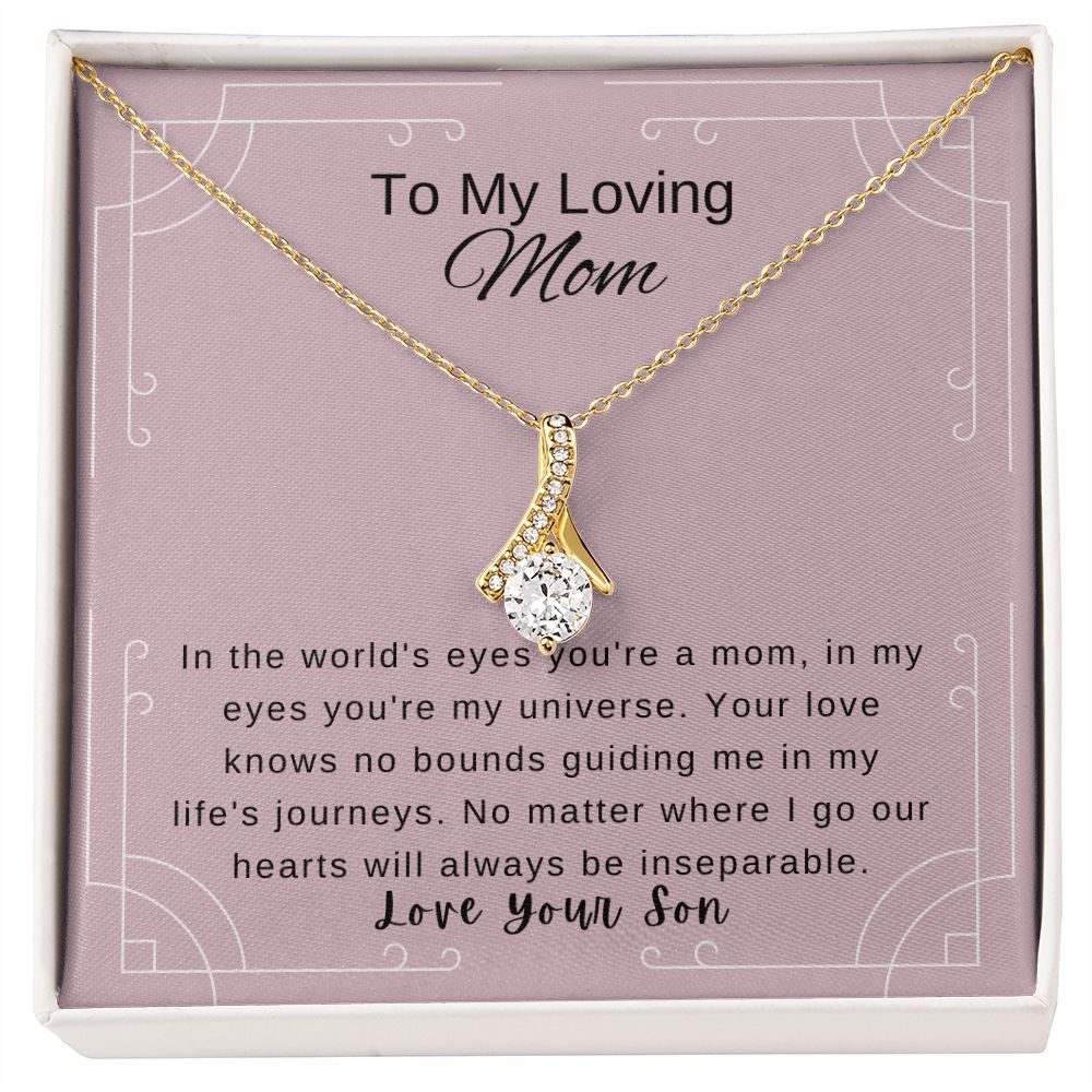 Mother's Day Gift from Son