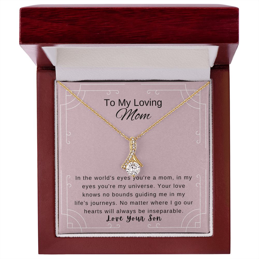Mother's Day Gift from Son