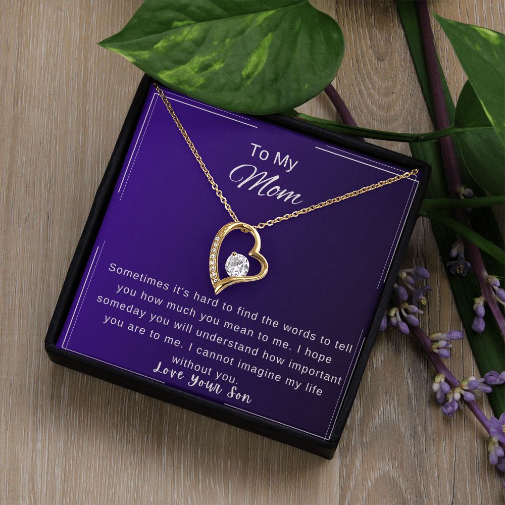 Mother's Day Necklace from Son
