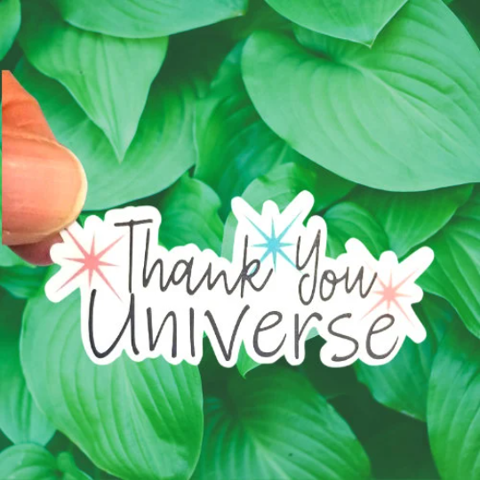 thank you universe sticker